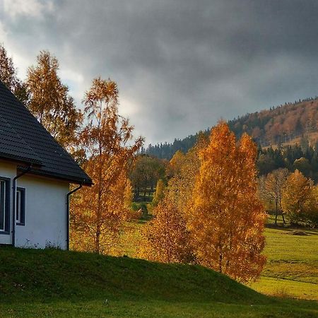 Rezydencja Ostoja Stronie Śląskie Exteriör bild