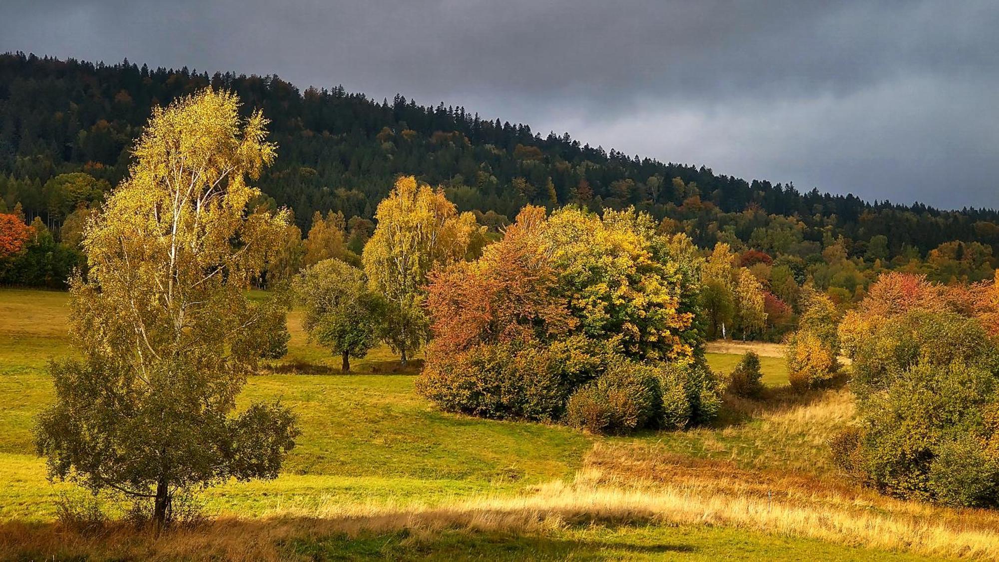 Rezydencja Ostoja Stronie Śląskie Exteriör bild