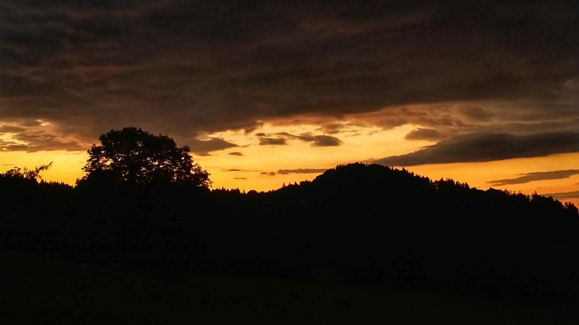Rezydencja Ostoja Stronie Śląskie Exteriör bild