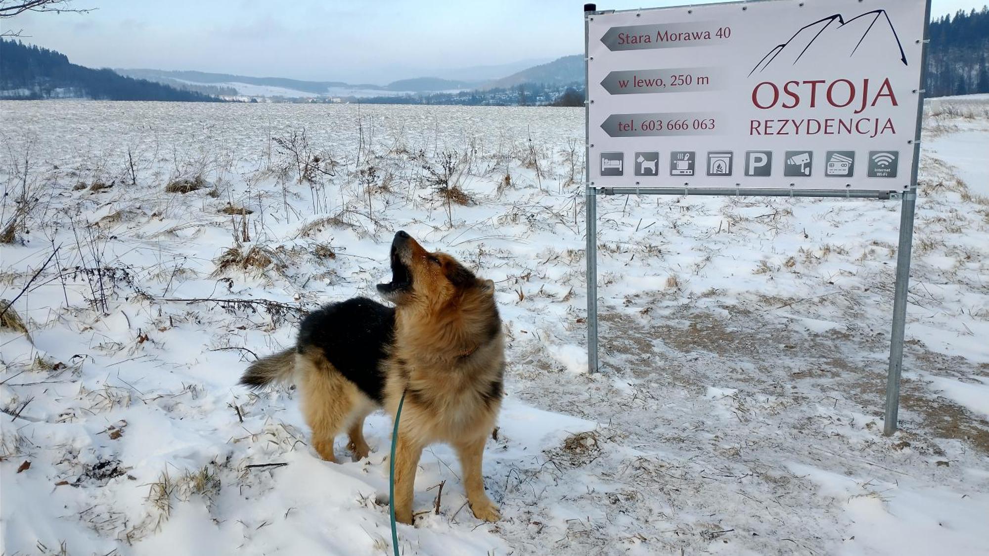 Rezydencja Ostoja Stronie Śląskie Exteriör bild